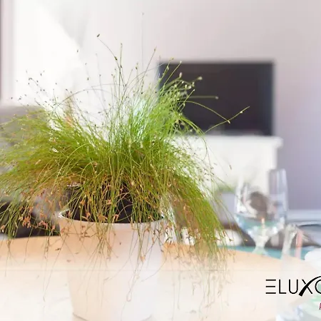 Eluxory *