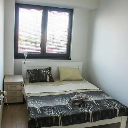 Eluxory סקופיה